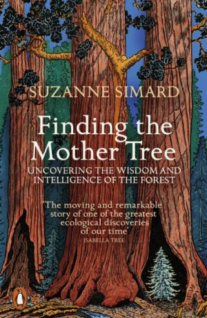 Finding the Mother Tree : Uncovering the Wisdom and Intelligence of the Forest by Simard, Suzanne