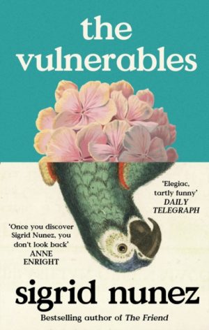 The Vulnerables : 'As funny as it is painfully honest' (Paula Hawkins) by Nunez, Sigrid