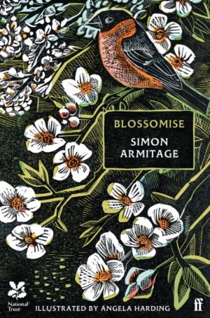 Blossomise by Armitage, Simon