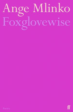 Foxglovewise by Mlinko, Ange