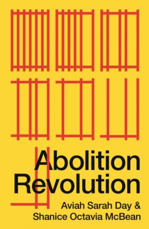 Abolition Revolution by Day, Aviah Sarah (Birkbeck, University of London)