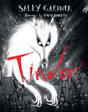 Tinder by Gardner, Sally