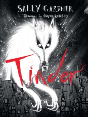 Tinder by Gardner, Sally