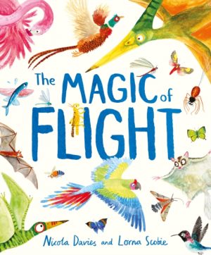 The Magic of Flight : Discover birds, bats, butterflies and more in this incredible book of flying creatures by Davies, Nicola