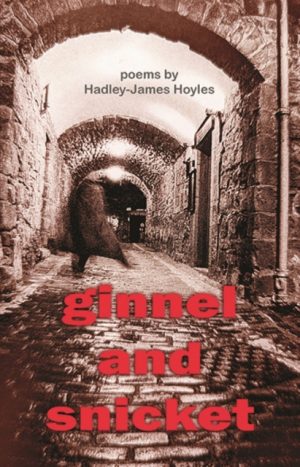 Ginnel and Snicket by Hoyles, Hadley-James