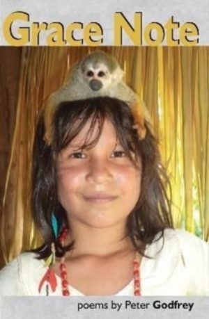 Grace Note by Godfrey, Peter