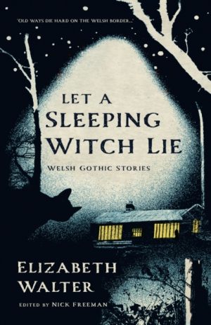 Let a Sleeping Witch Lie : Welsh Gothic Stories by Elizabeth Walter by Walter, Elizabeth