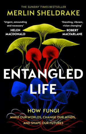 Entangled Life : How Fungi Make Our Worlds, Change Our Minds and Shape Our Futures by Sheldrake, Merlin