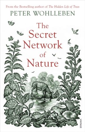 The Secret Network of Nature : The Delicate Balance of All Living Things by Wohlleben, Peter