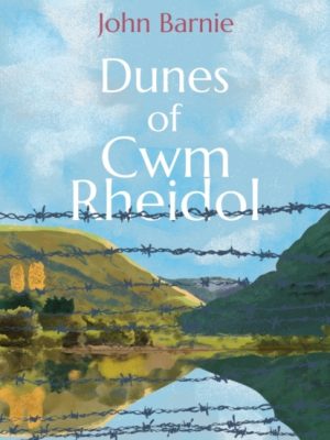 Dunes of Cwm Rheidol by Barnie, John