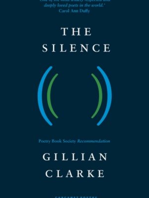 The Silence by Clarke, Gillian
