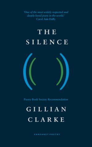 The Silence by Clarke, Gillian