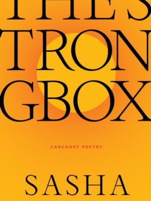 The Strongbox by Dugdale, Sasha