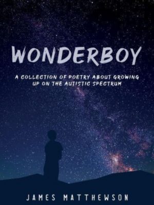 Wonderboy by Matthewson, James