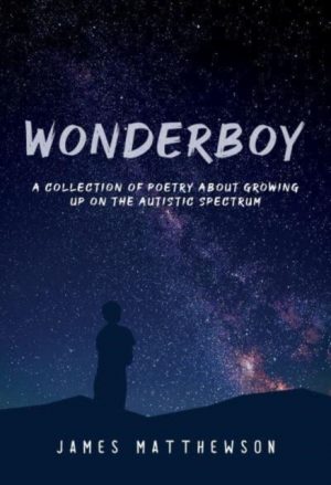 Wonderboy by Matthewson, James