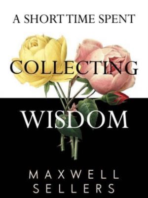 A Short Time Spent Collecting Wisdom by Sellers, Maxwell