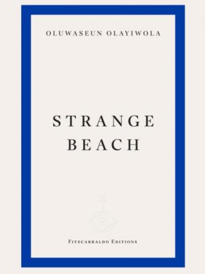 Strange Beach by Olayiwola, Oluwaseun