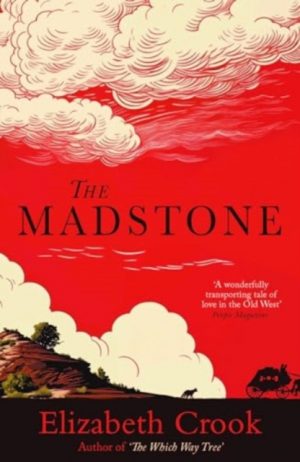 The Madstone by Crook, Elizabeth