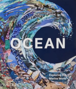 Ocean : Exploring the Marine World by Phaidon Editors, Melster, Anne-Marie