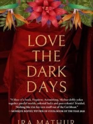 Love the Dark Days by Mathur, Ira