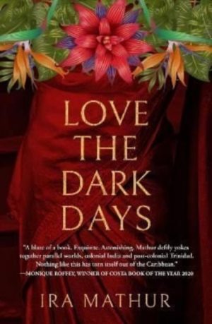 Love the Dark Days by Mathur, Ira