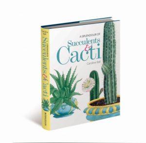 A Splendour of Succulents & Cacti by Ball, Caroline