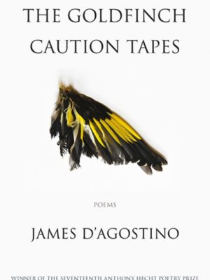 The Goldfinch Caution Tapes : poems by D'Agostino, James