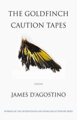 The Goldfinch Caution Tapes : poems by D'Agostino, James