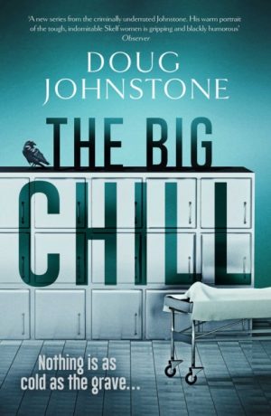The Big Chill : Volume 2 by Johnstone, Doug