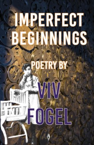Imperfect Beginnings by Fogel, Viv