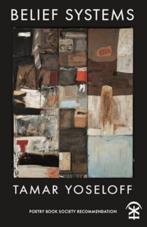 Belief Systems by Yoseloff, Tamar