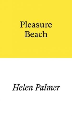 Pleasure Beach by Palmer, Helen