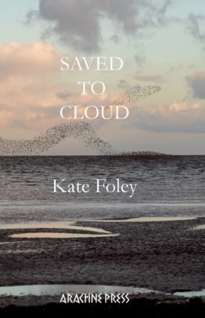 Saved to Cloud by Foley, Kate