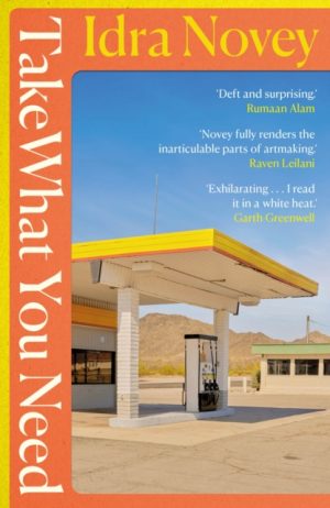 Take What You Need by Novey, Idra