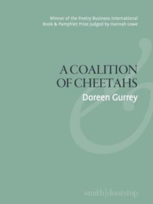 A Coalition of Cheetahs by Gurrey, Doreen