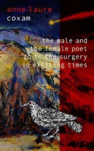 The Male and the Female Poet Go to the Surgery in Exciting Times : and Other Poems by Coxam, Anne-Laure
