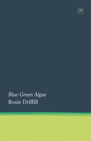 Blue-Green Algae by Driffill, Rosie