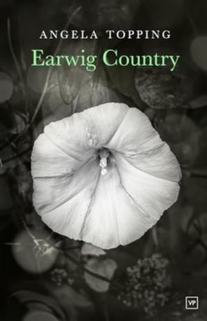 Earwig Country by Topping, Angela