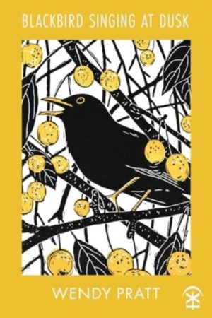 Blackbird Singing at Dusk by Pratt, Wendy