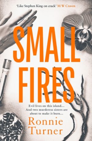 Small Fires : This year's most unsettling, hypnotic contemporary gothic thriller by Turner, Ronnie