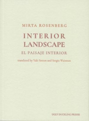 Interior Landscape by Rosenberg, Mirta