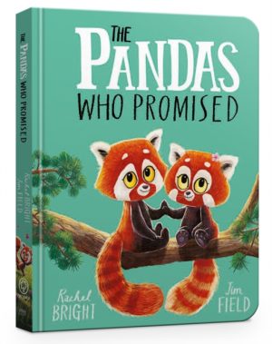 The Pandas Who Promised Board Book by Bright, Rachel