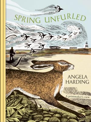 Spring Unfurled : part of a beautiful seasonal quartet from beloved illustrator and print-maker Angela Harding by Harding, Angela