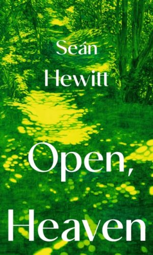 Open, Heaven by Hewitt, Sean