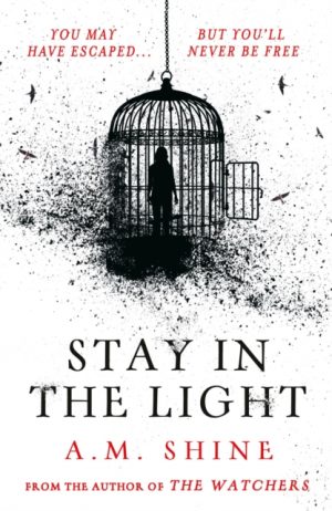 Stay in the Light : the chilling sequel to hit horror novel THE WATCHERS by Shine, A.M.