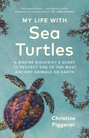My Life with Sea Turtles : A Marine Biologist's Quest to Protect One of the Most Ancient Animals on Earth by Figgener, Christine