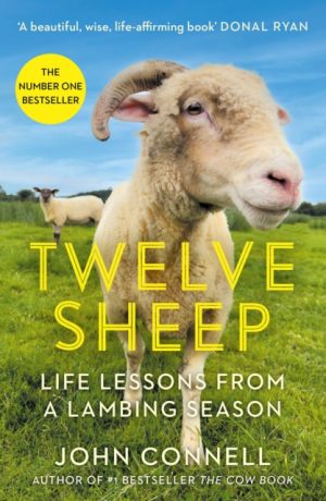 Twelve Sheep : Life lessons from a lambing season by Connell, John