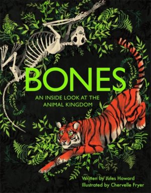 Bones : An inside look at the animal kingdom by Howard, Jules