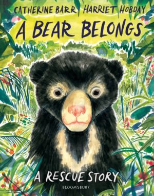A Bear Belongs : A rescue story by Barr, Catherine