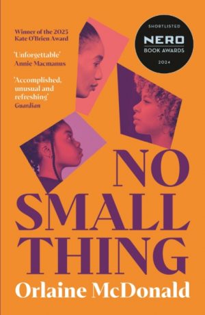 No Small Thing : Shortlisted for the 2024 Nero Book Awards for Debut Fiction by McDonald, Orlaine